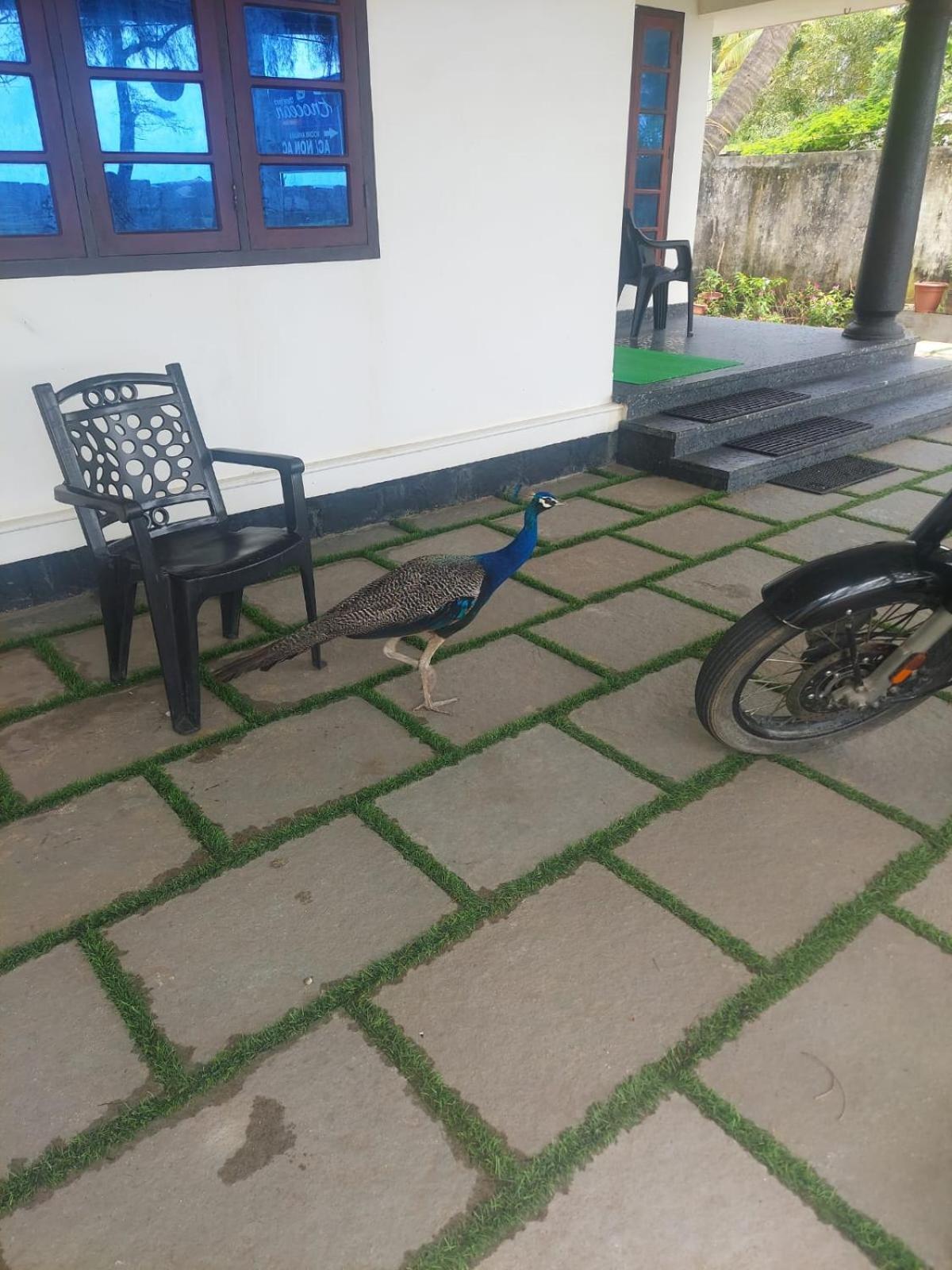 צ'ראי ביץ' Enocean Homestay מראה חיצוני תמונה